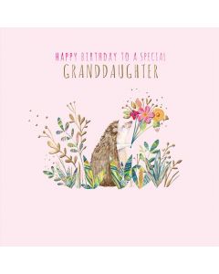 GRANDDAUGHTER CURIOUS IJ 70 EVERYDAY (Pack Size: 6)