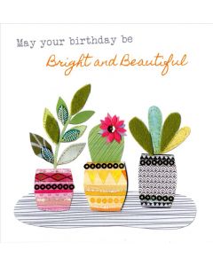 B/Day Gen - Cacti And Plant Pots Bright & Breezy 150*150 - LL LL EVERYDAY (Pack Size: 6)