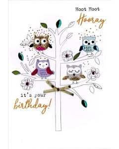 B 65TH Irresistible 172*124 - LL LL EVERYDAY (Pack Size: 6)