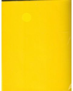 GIFT TAG YELLOW PLAIN TAG (Pack Size: 12)
